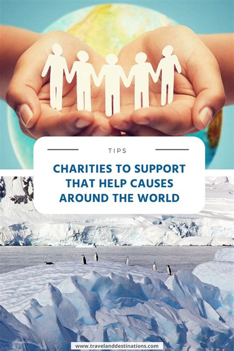 best charities to support|Top global causes you should support in 2023 .